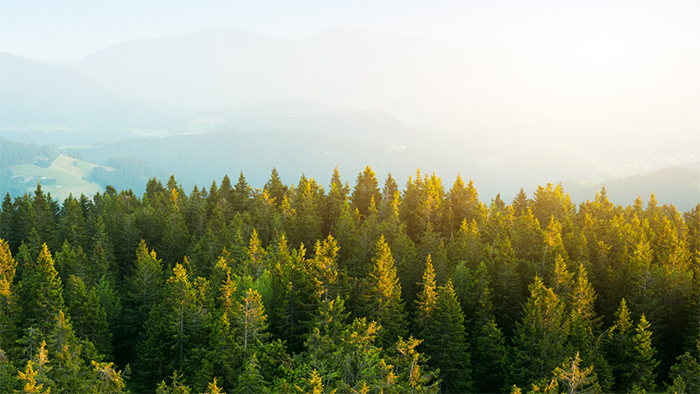 ca88(中国)官方网站